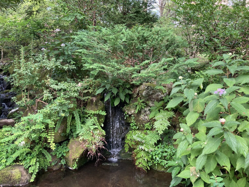 気持ちの良い庭園