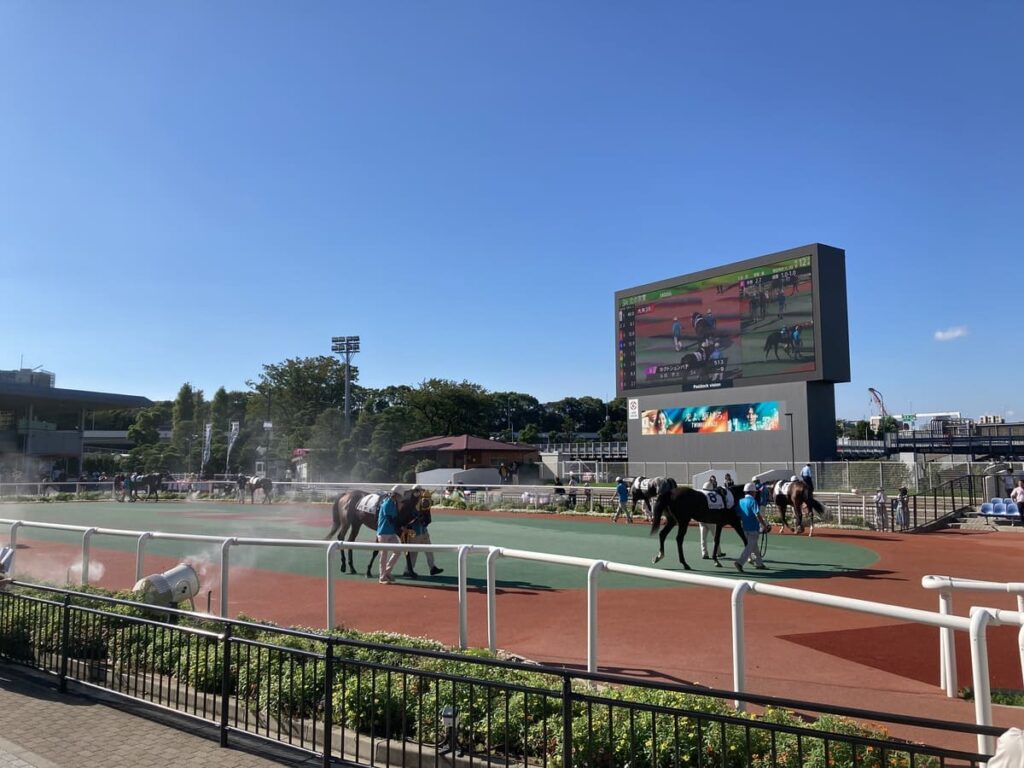 大井競馬場