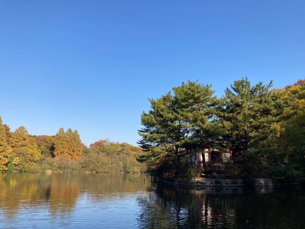 三宝寺池