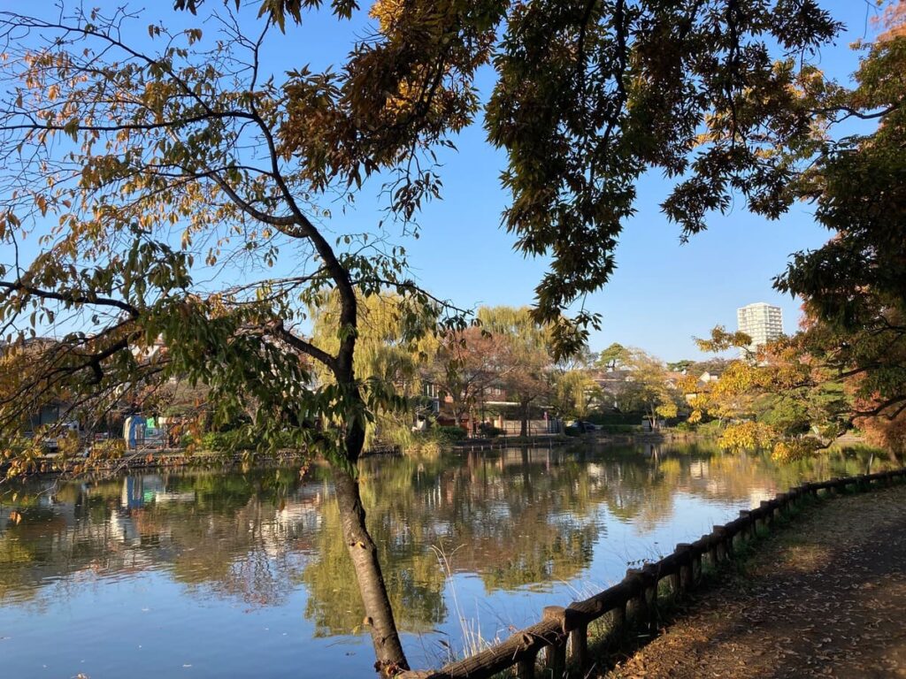 石神井公園