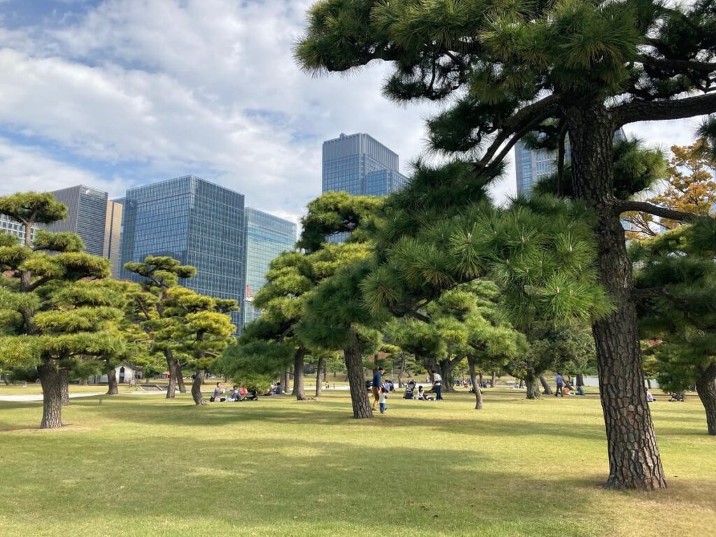 皇居外苑の芝生広場